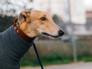 The Ronnie Martingale Collar
